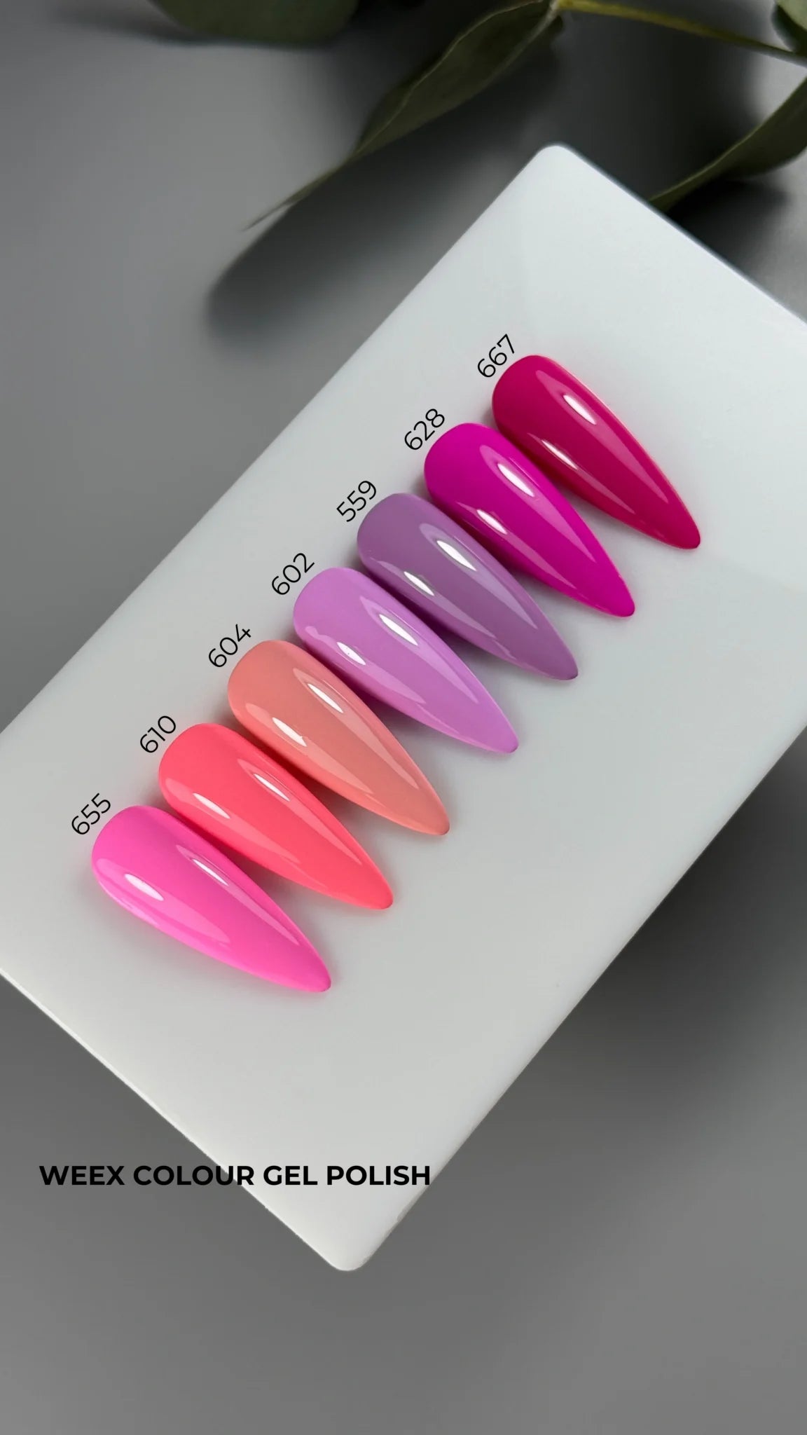 Weex Gel Polish 628