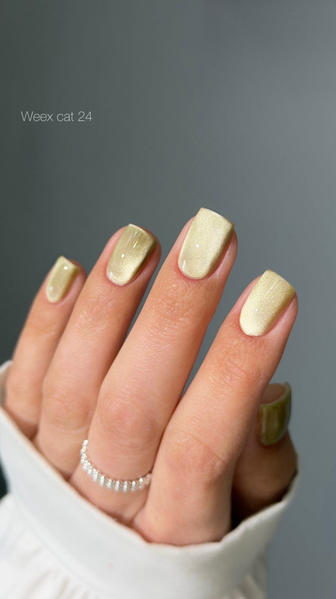 Weex Gel Polish Cat 24
