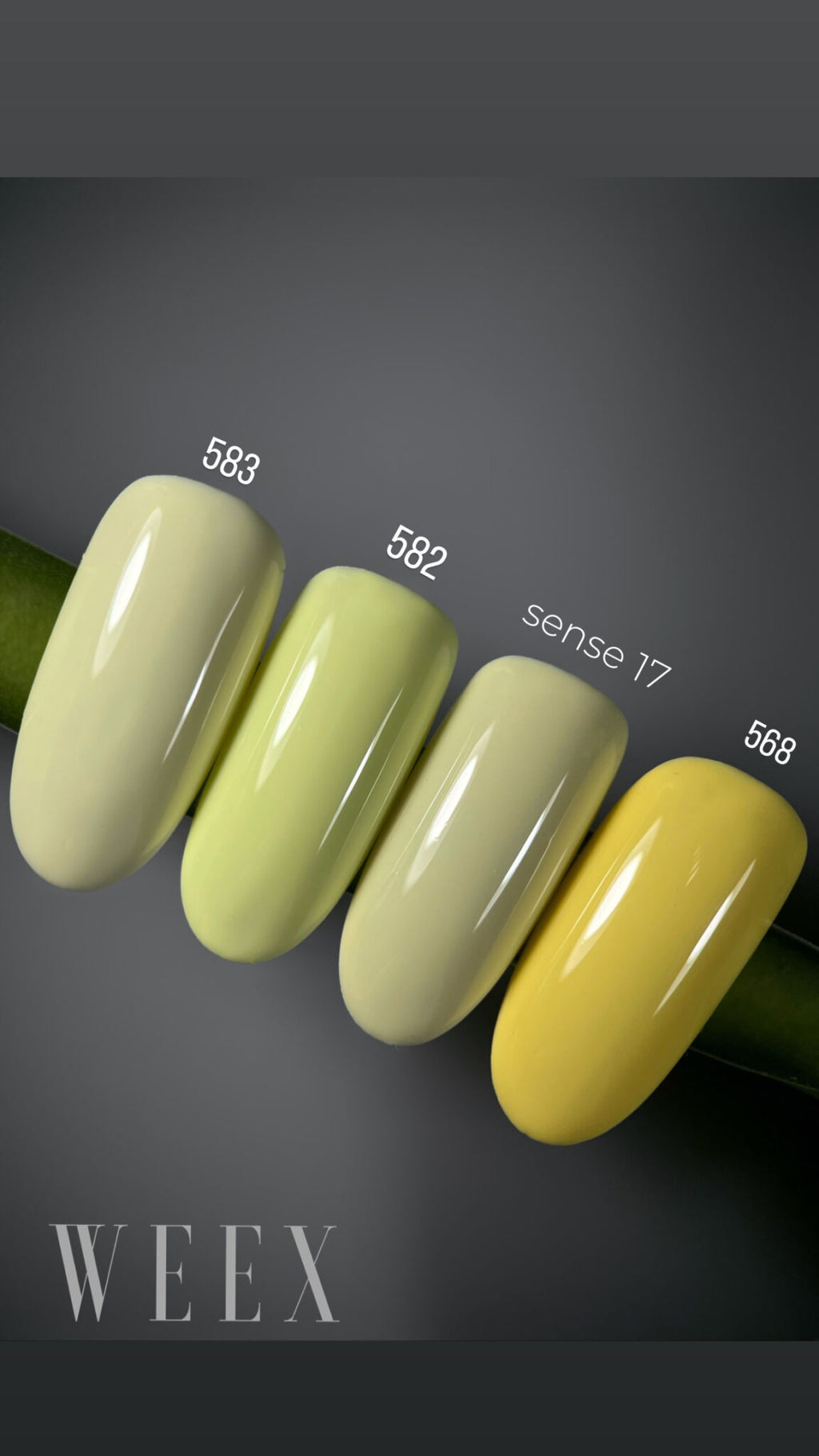 Weex Gel Polish 583