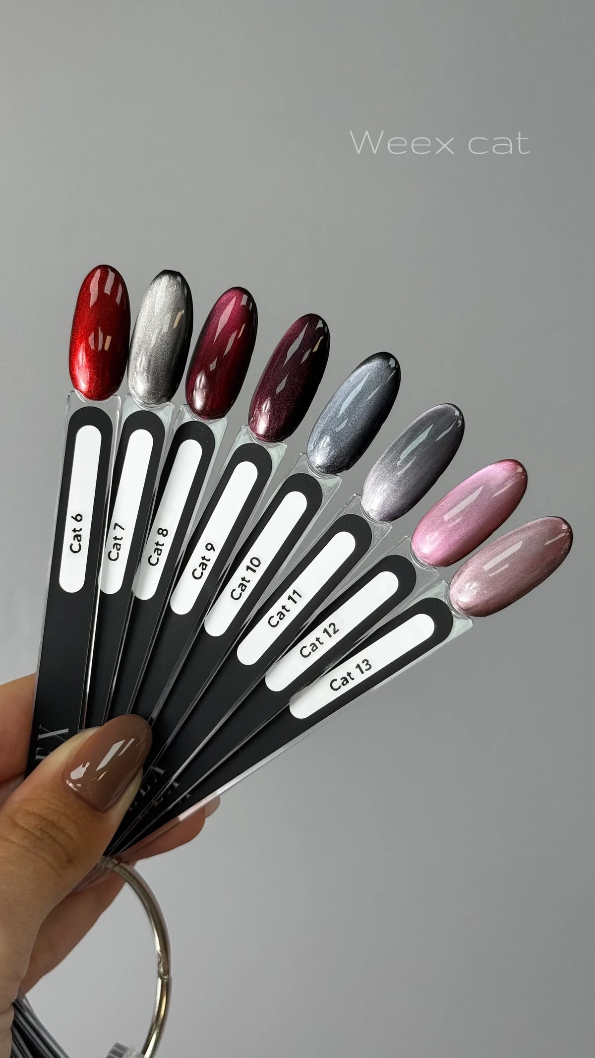 Weex Gel Polish Cat 6 11ml