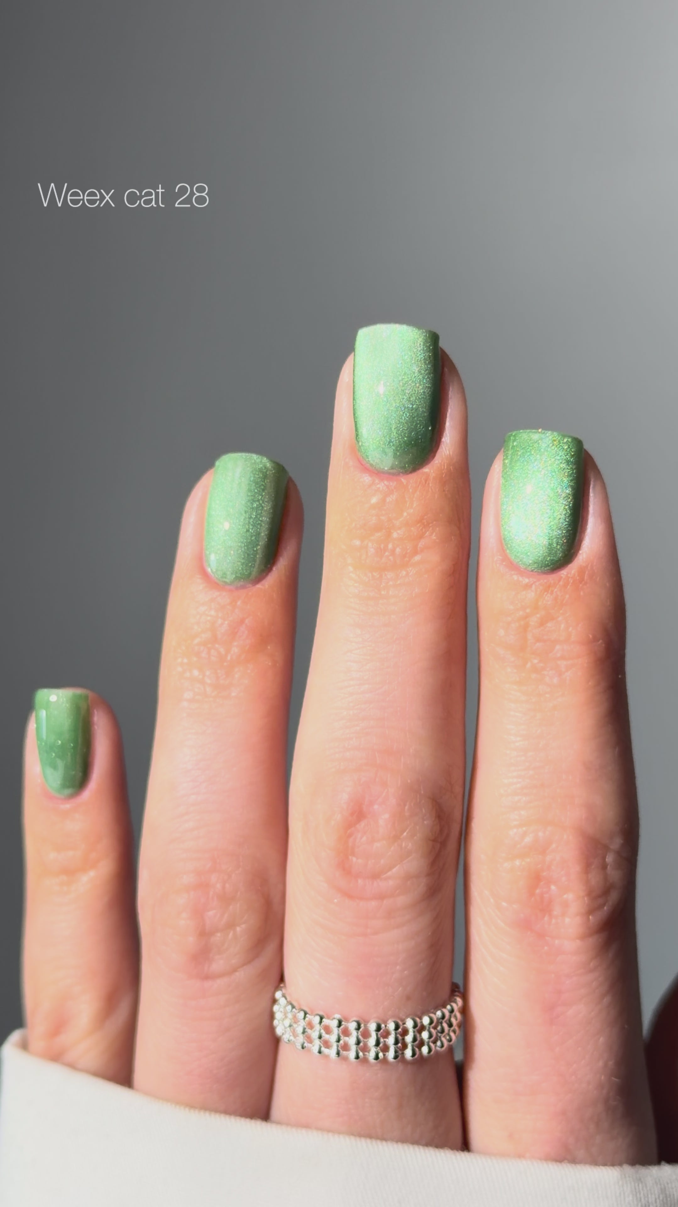 Weex Gel Polish Cat 28
